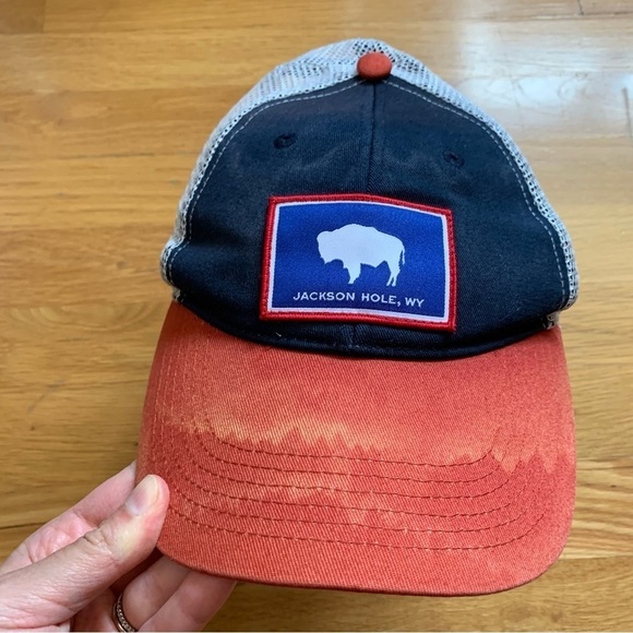 Jackson Hole Wyoming Distressed Vintage Adjustable Trucker Hat Cap - Picture 1 of 7